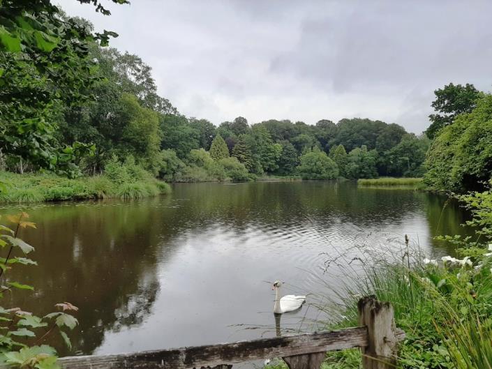 Image No.3-6 Bed House for sale