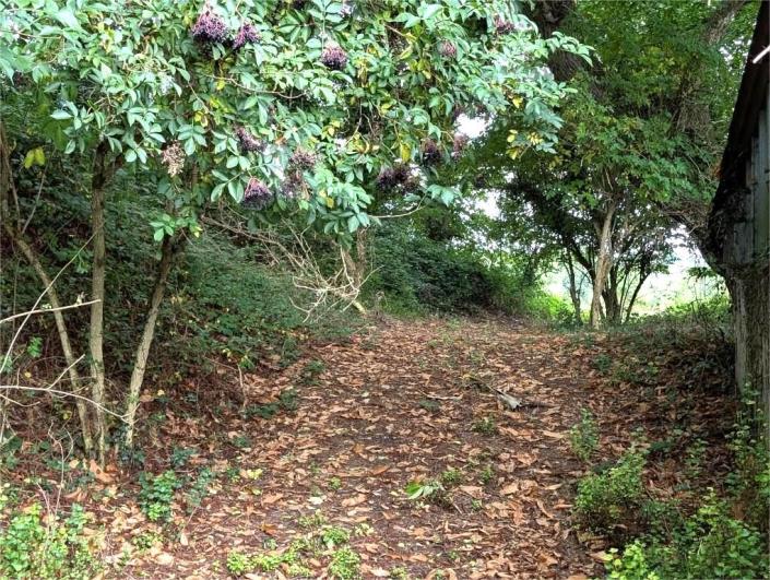 Image No.17-4 Bed House for sale