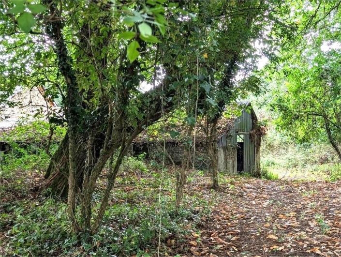 Image No.18-4 Bed House for sale