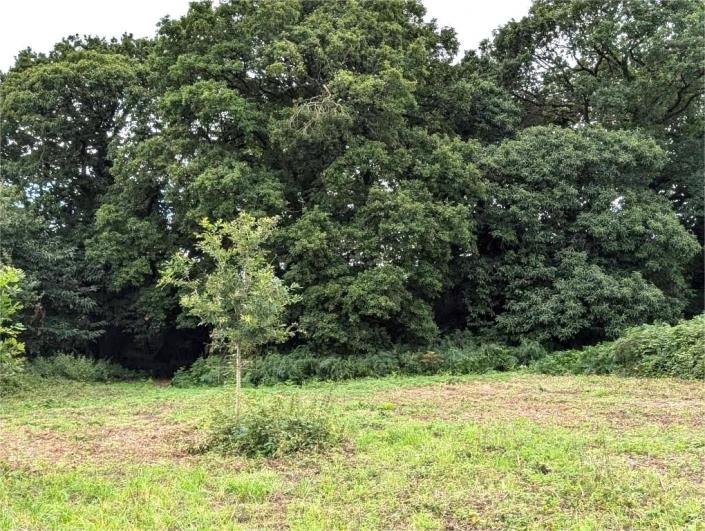 Image No.22-4 Bed House for sale