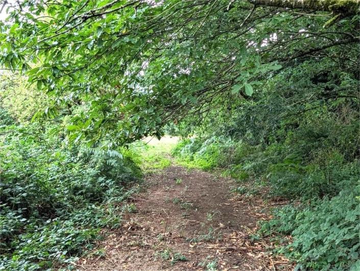 Image No.23-4 Bed House for sale