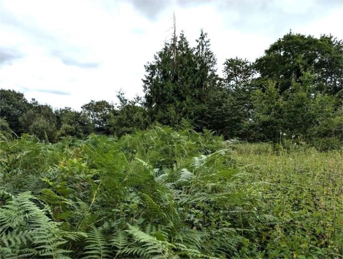 Image No.24-4 Bed House for sale