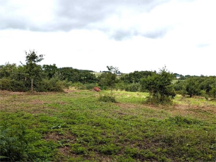 Image No.37-4 Bed House for sale