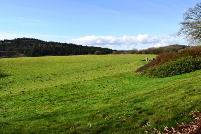 Image No.6-6 Bed House for sale