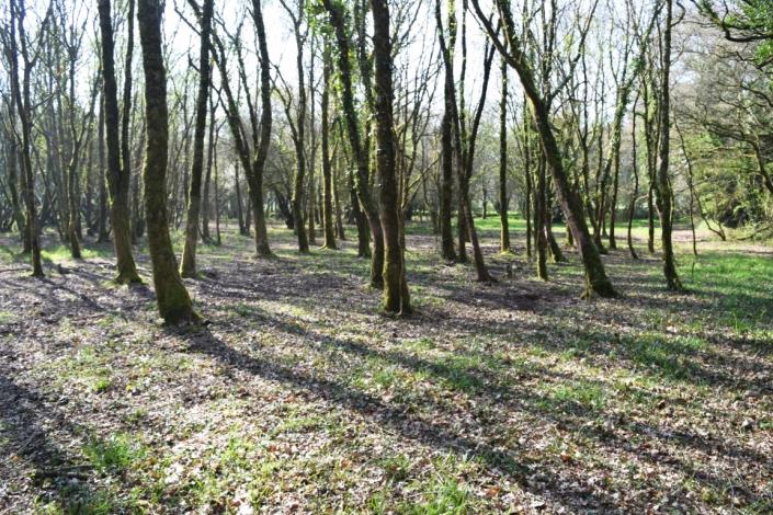 Image No.23-3 Bed House for sale