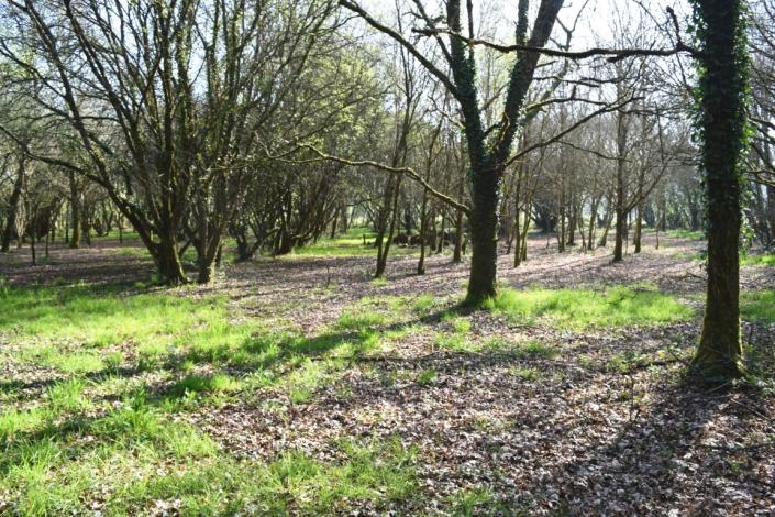 Image No.24-3 Bed House for sale