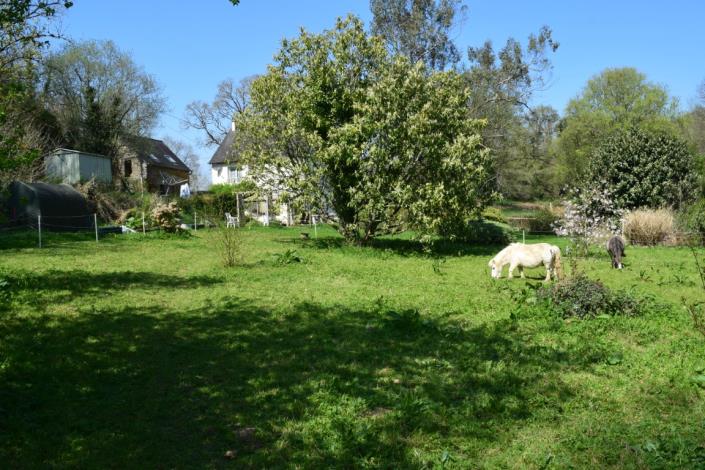 Image No.4-4 Bed House for sale