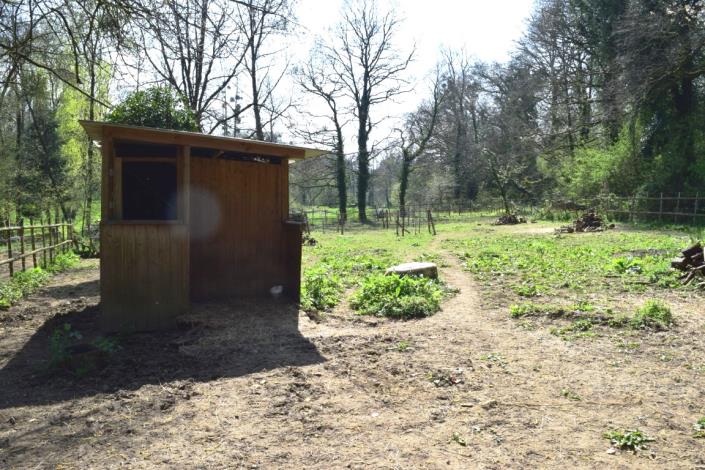 Image No.25-4 Bed House for sale