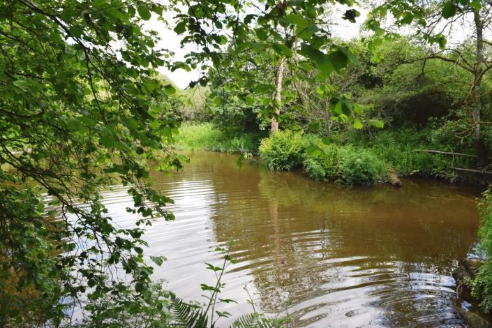 Image No.9-3 Bed House for sale