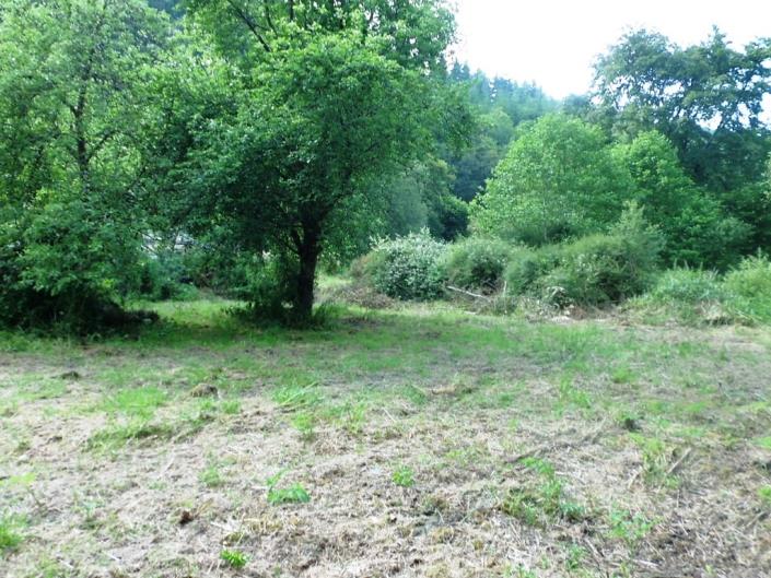 Image No.28-3 Bed House for sale