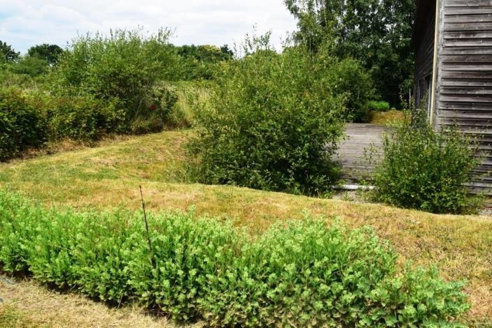 Image No.17-4 Bed House for sale