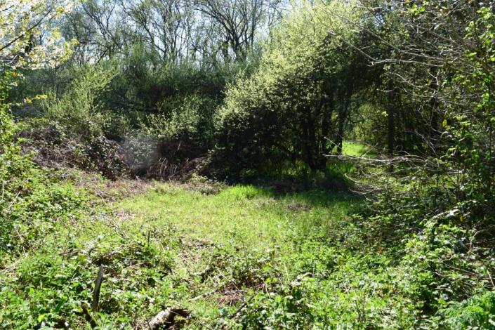 Image No.9-2 Bed House for sale