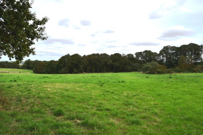 Image No.3-4 Bed House for sale