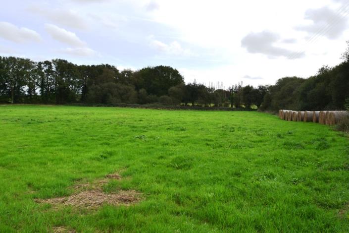 Image No.4-4 Bed House for sale