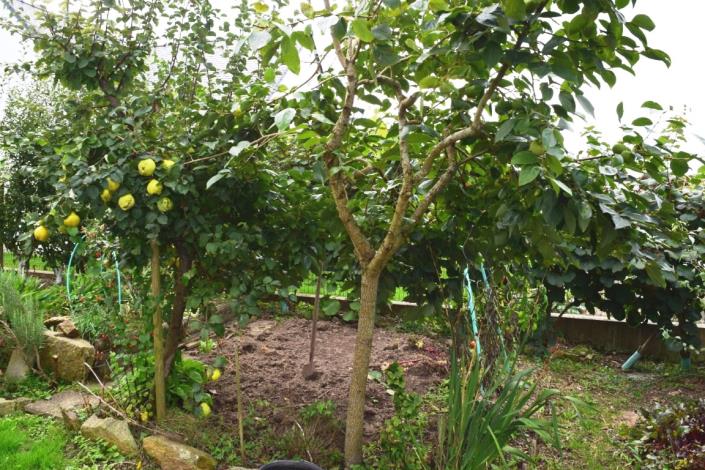 Image No.22-4 Bed House for sale