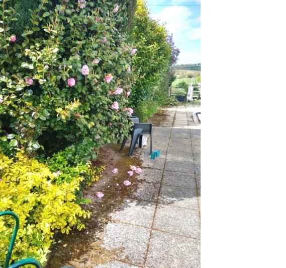 Image No.21-1 Bed House for sale