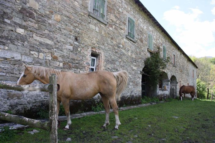 Image No.4-5 Bed Villa for sale