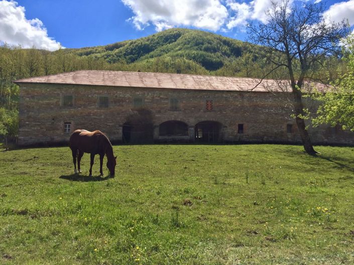 Image No.9-5 Bed Villa for sale