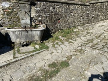 bf1bcfdc-cc3e-bb37-404c-27f59adbcf8c