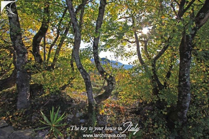 Image No.16-1 Bed House for sale