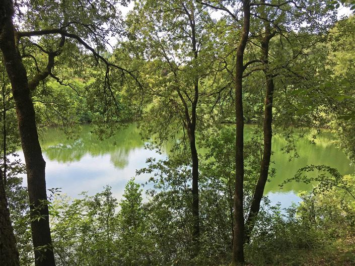 Image No.19-15 Bed Villa for sale