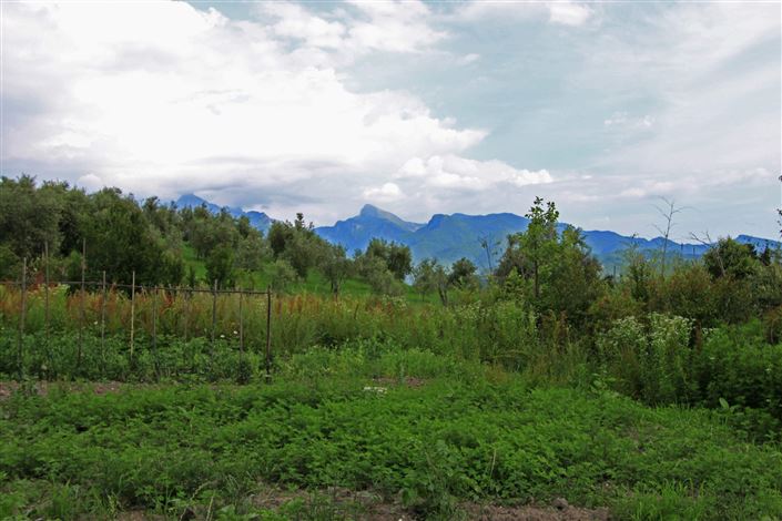 Image No.28-15 Bed Villa for sale