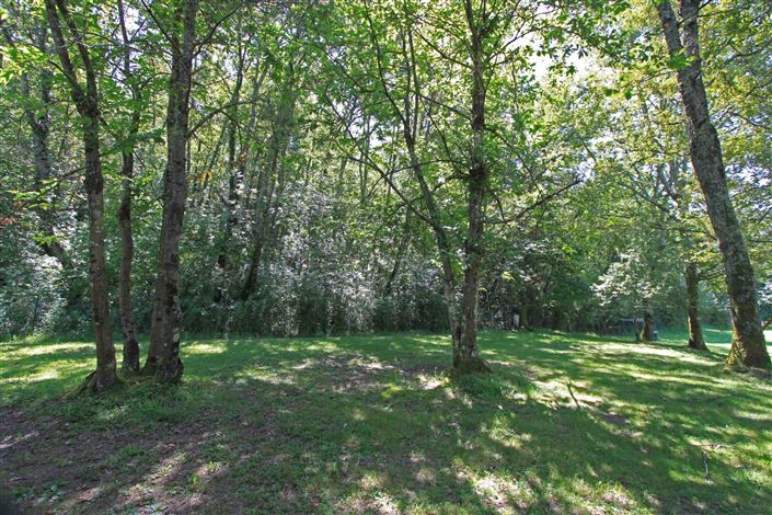 Image No.36-6 Bed Villa for sale