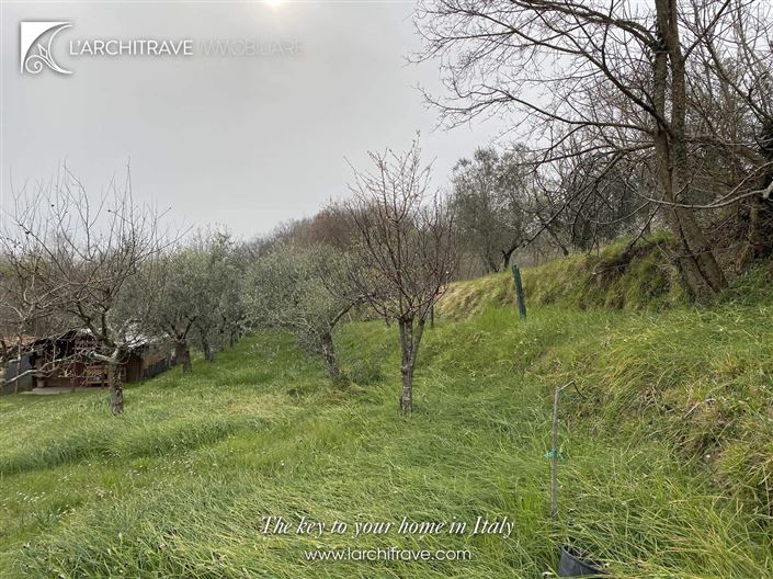 Image No.19-3 Bed House for sale