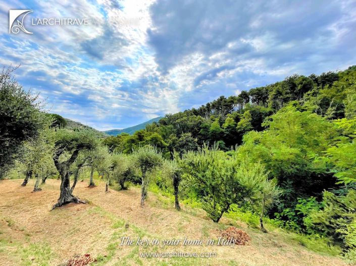 Image No.26-4 Bed Villa for sale