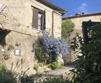 c37b64cf-0a22-aa83-aade-9e0a69614218