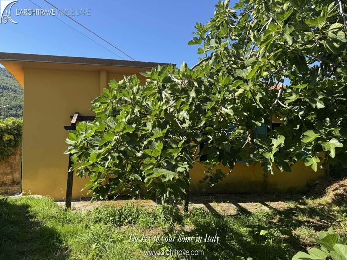 Image No.13-2 Bed House for sale