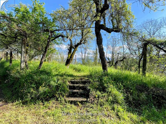 Image No.3-2 Bed Villa for sale