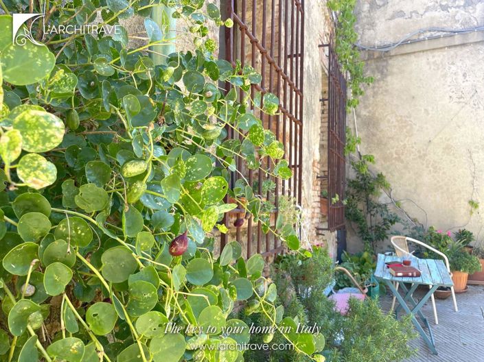 Image No.18-1 Bed House for sale