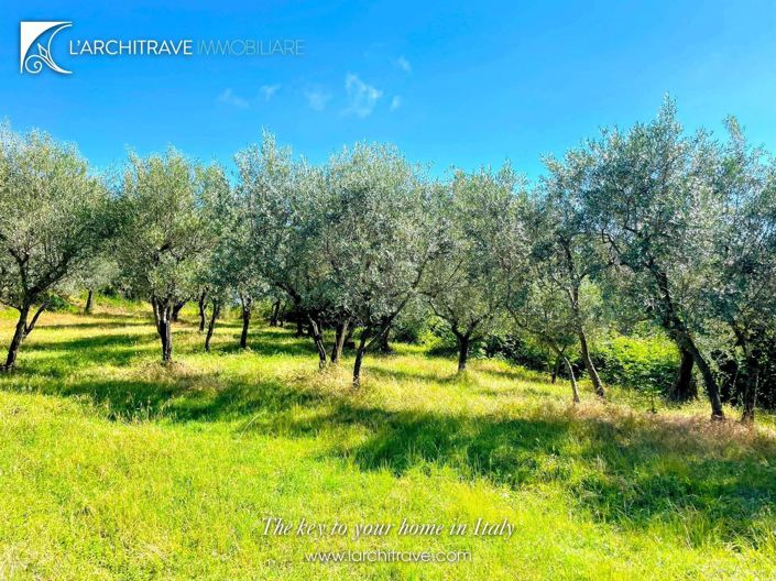 Image No.2-3 Bed House for sale