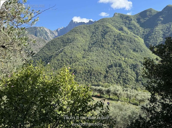 Image No.26-3 Bed House for sale