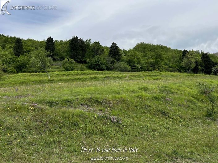 Image No.4-3 Bed House for sale