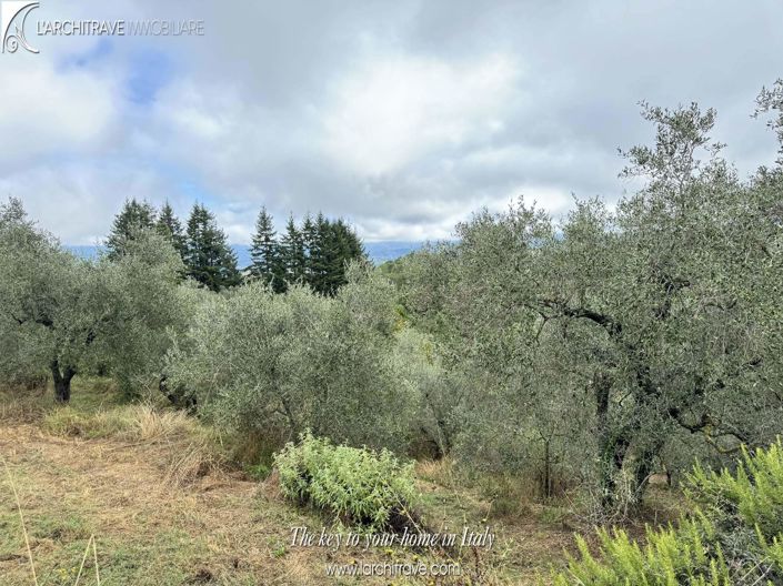 Image No.17-4 Bed Villa for sale