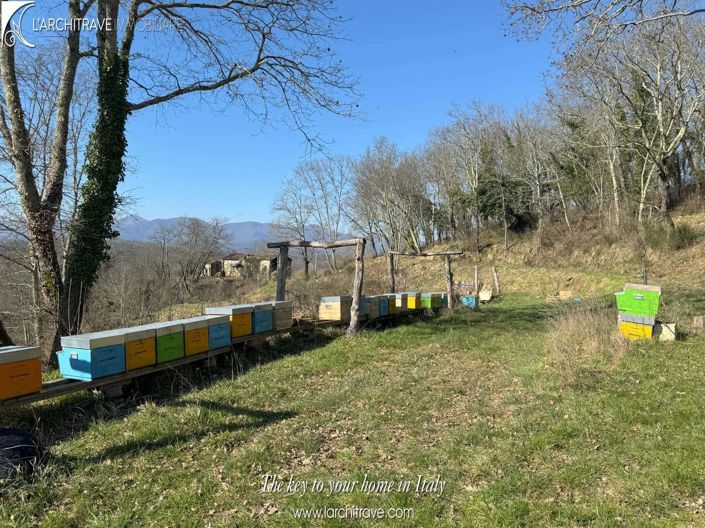 Image No.6-3 Bed House for sale