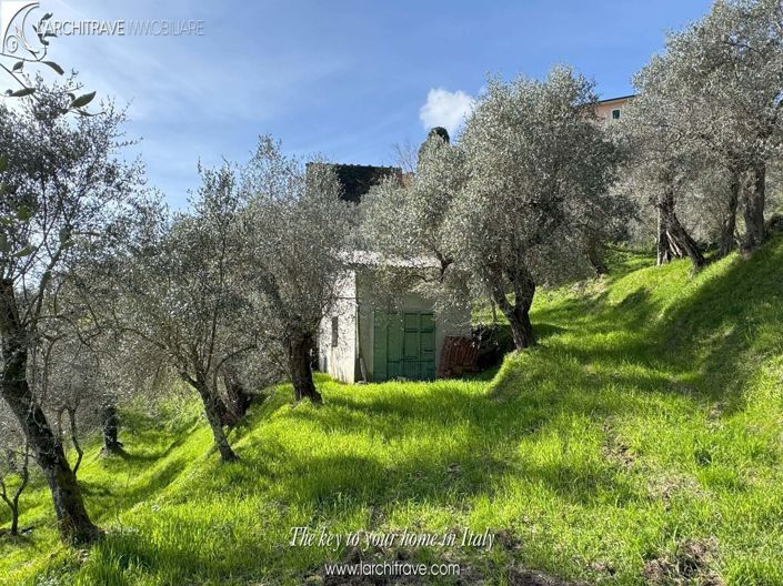 Image No.15-3 Bed House for sale