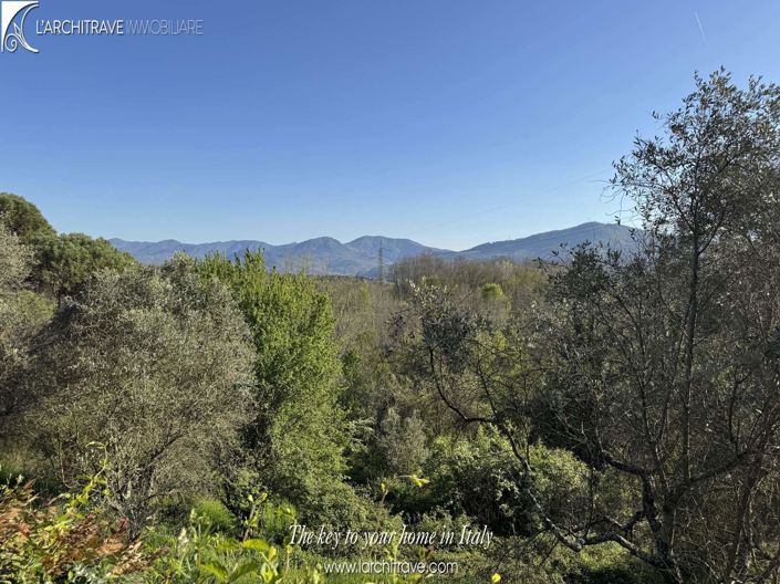 Image No.3-1 Bed House for sale