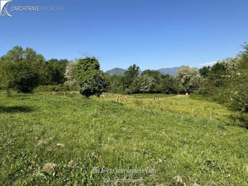 cffded58-d2b5-6063-cd07-679463dc83b7