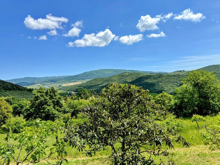 Image No.9-3 Bed Villa for sale