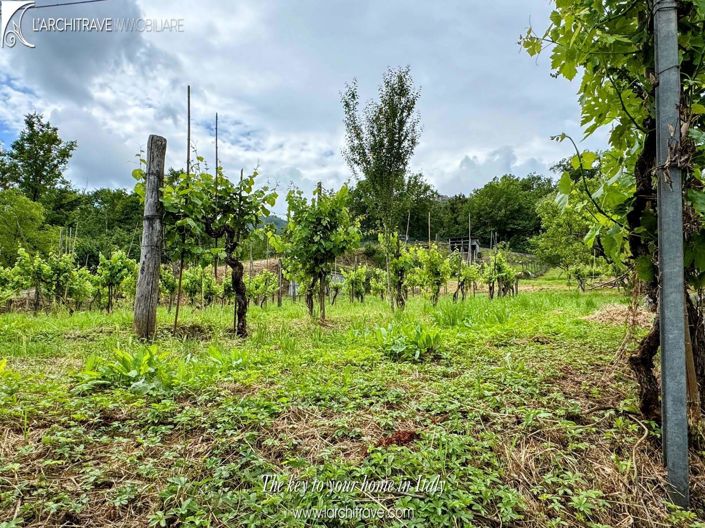 Image No.16-3 Bed House for sale