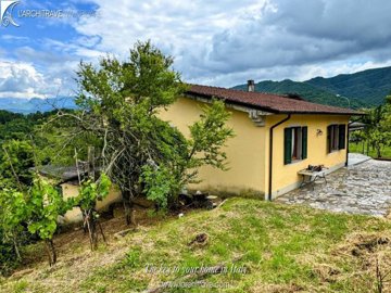 e476e5cc-614f-23c8-49c2-2d5ce1f49a9b