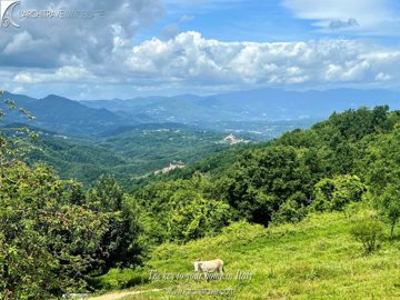 3f54267f-5461-4899-a1bb-0b78f0256e63