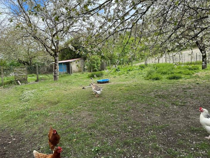 Image No.10-3 Bed House for sale