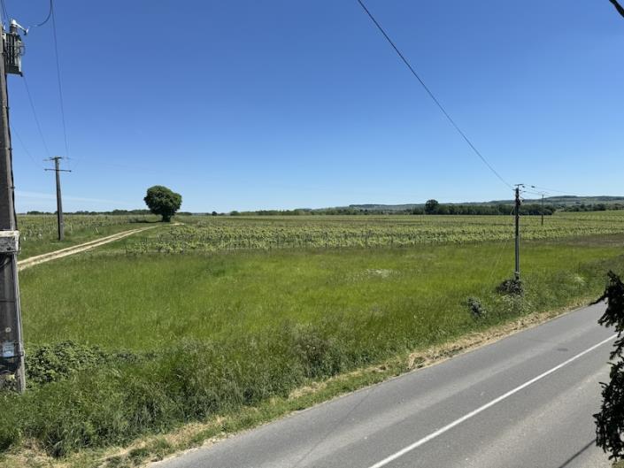 Image No.6-5 Bed Country House for sale