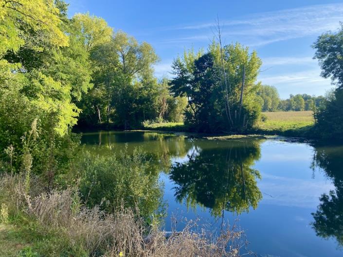 Image No.7-5 Bed Country House for sale