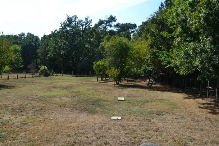 Image No.5-3 Bed House for sale