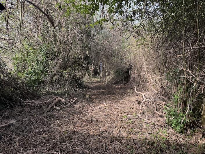 Image No.4-Barn for sale